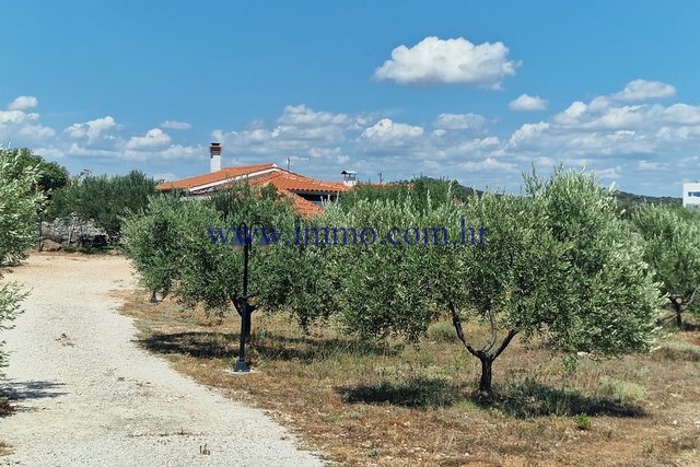 COTTAGE SURROUNDED BY OLIVE GROVES. SURROUNDINGS OF SIBENIK